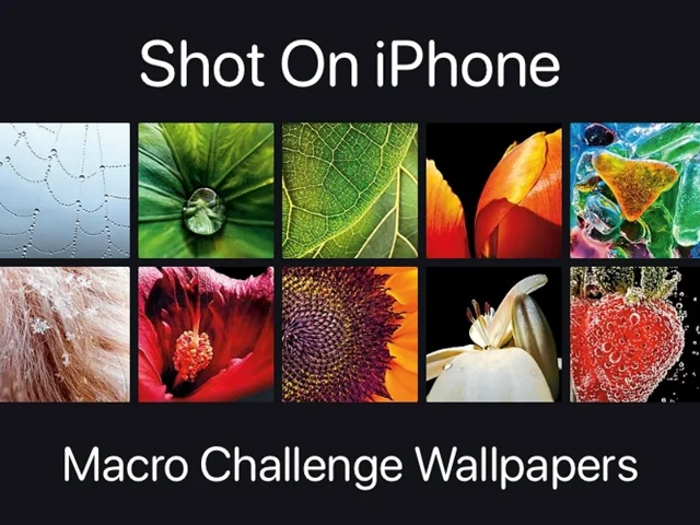 اپل برنده‌های مسابقه Shot On iPhone را معرفی کرد